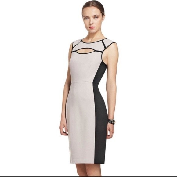 BCBGMaxaria Kelsee Pale Grey and Black Colorblock Cut- out Dress Sz 2 - Picture 3 of 5